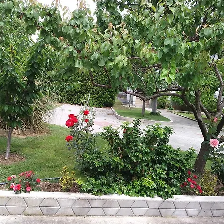 Apartment Zilic *